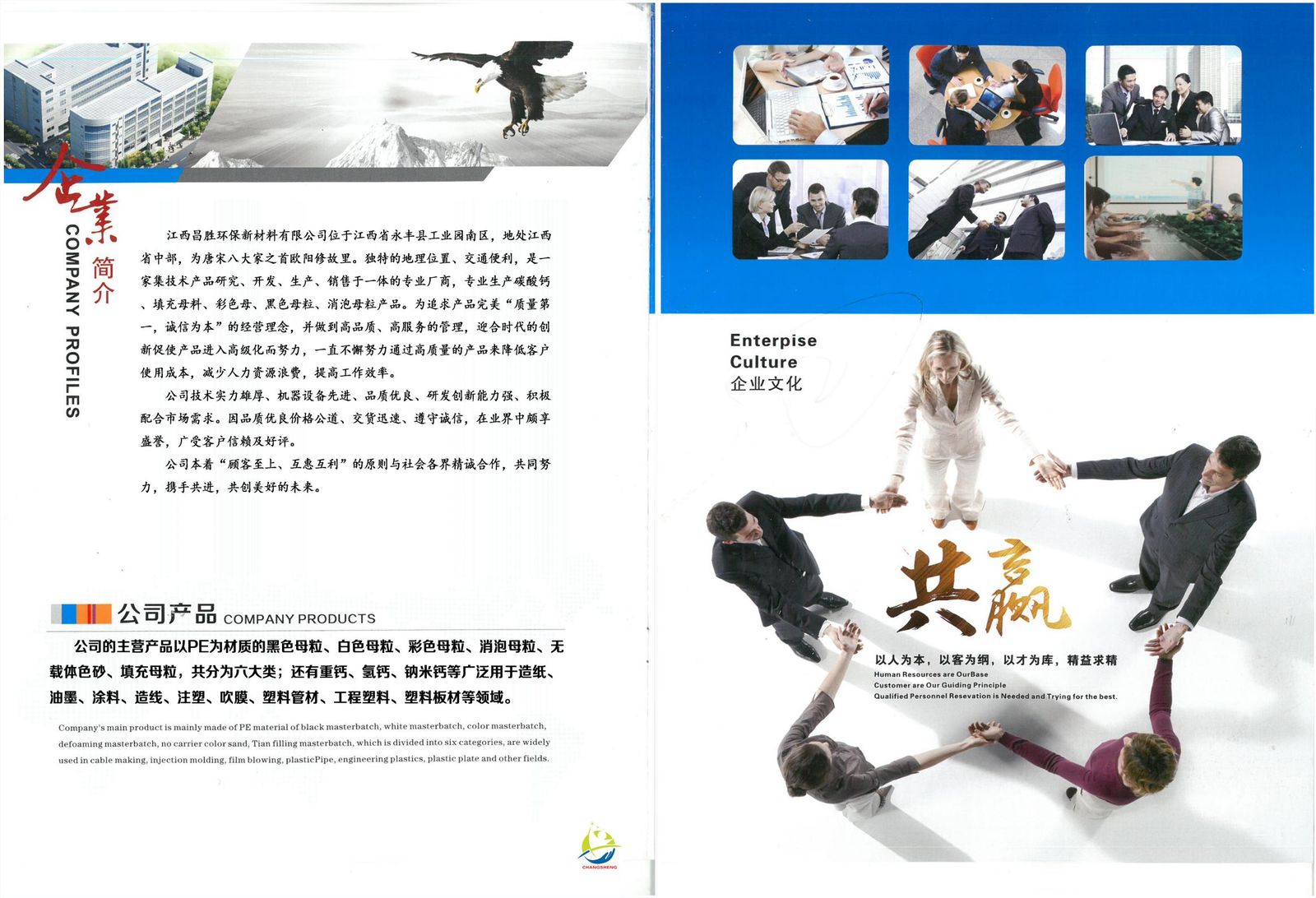 Company profile